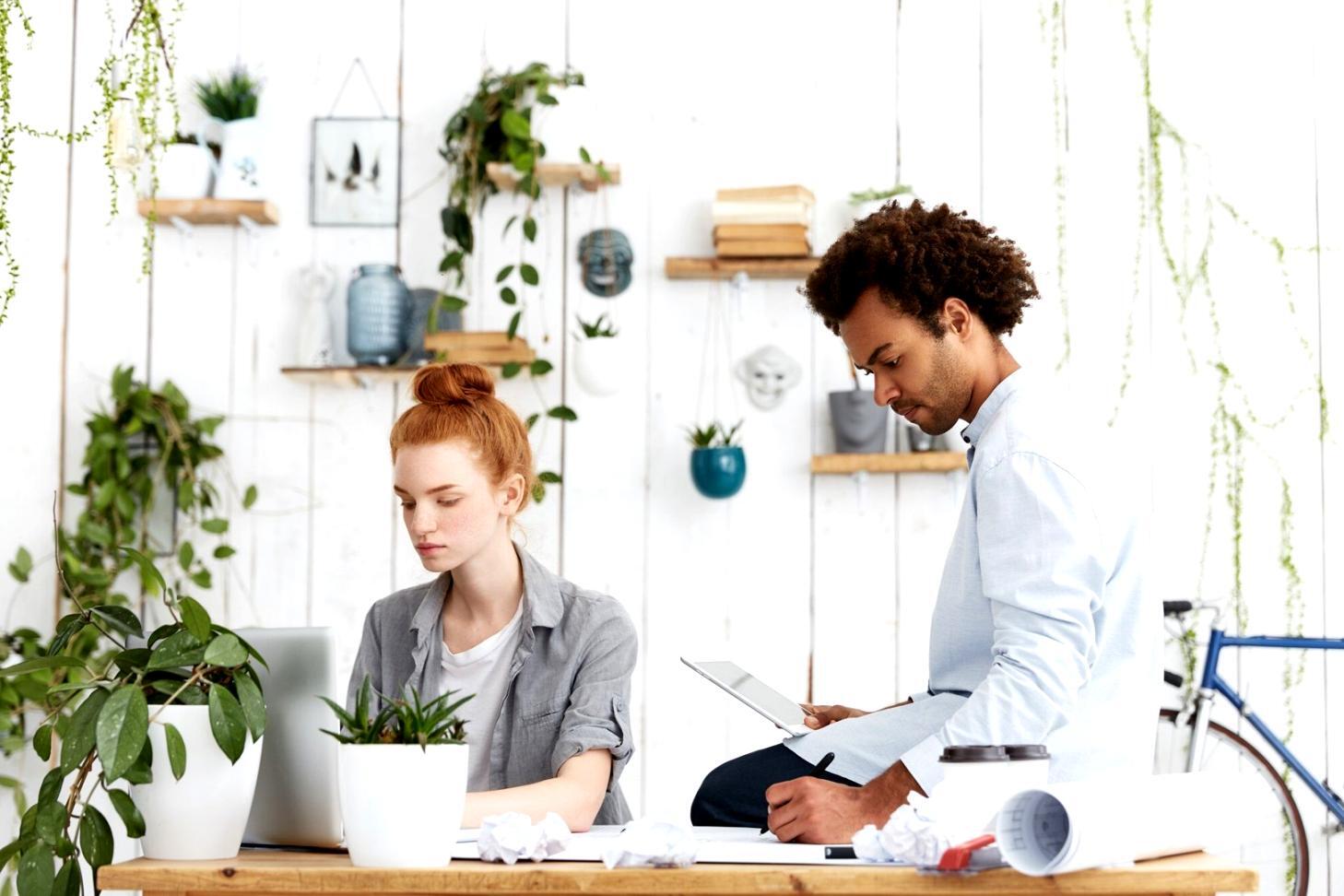 Consultoria financeira personalizada tariquelosinv